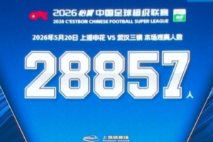申花主场对阵三镇,共28857名球迷现场观战配图